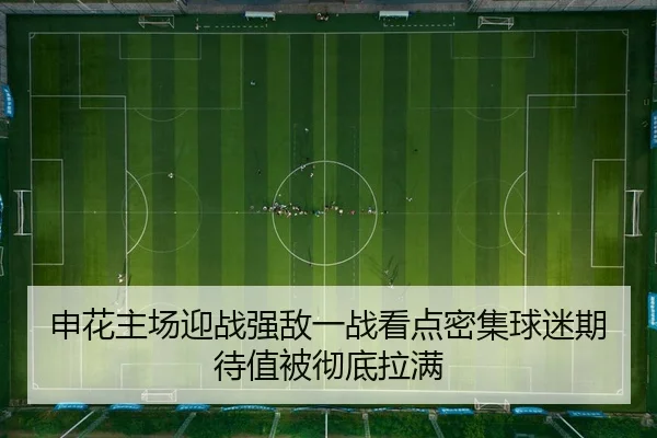 申花主场迎战强敌一战看点密集球迷期待值被彻底拉满