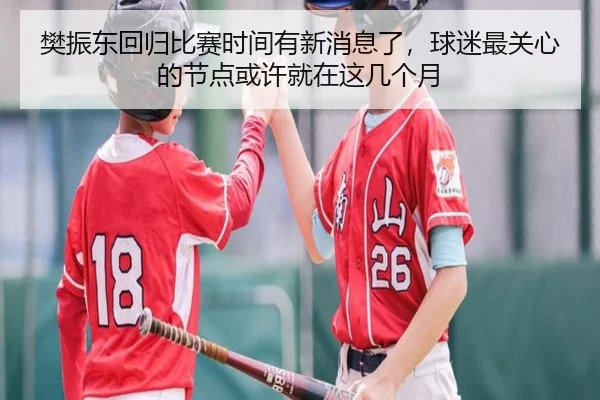樊振东回归比赛时间有新消息了，球迷最关心的节点或许就在这几个月